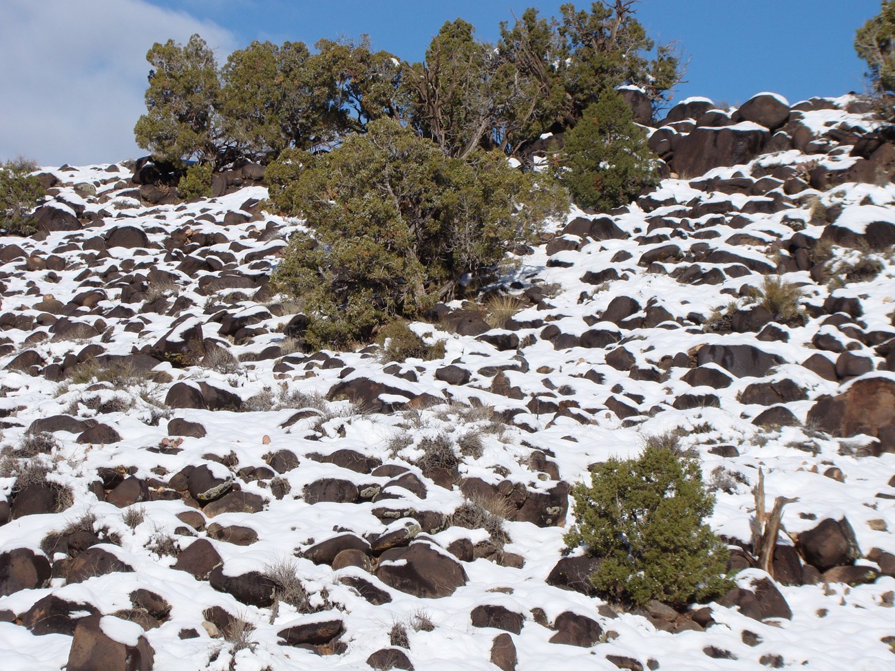 Over 100 black boulders of all sizes scattered on a hillside covered in snow, with the boulders still visible. Some green juniper trees are mixed with the rocks, and blue sky and clouds above.
