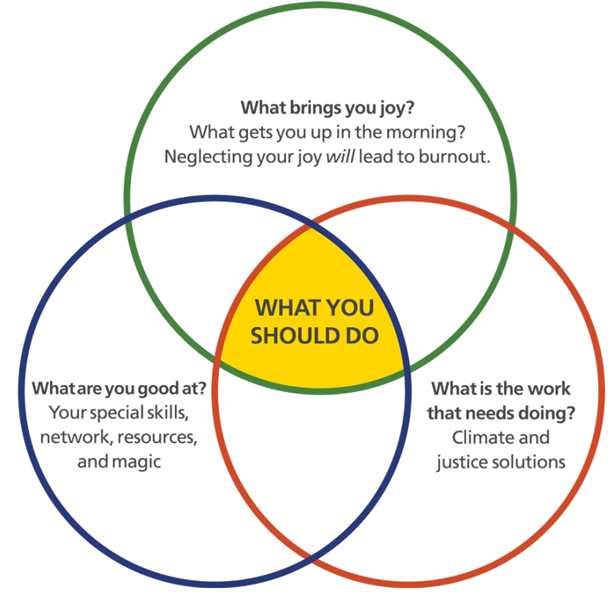 Venn diagram with three circles: what brings you joy, what are you good at, what work needs doing. At center is What you should do.