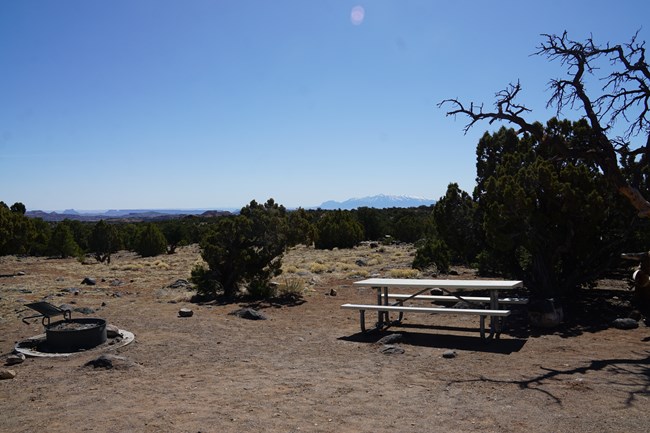 Campsite with picnic table, fire pit, juniper trees, and views of mountain.