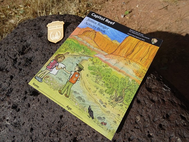 Colorful junior ranger booklet with a wooden badge sitting on a black rock.