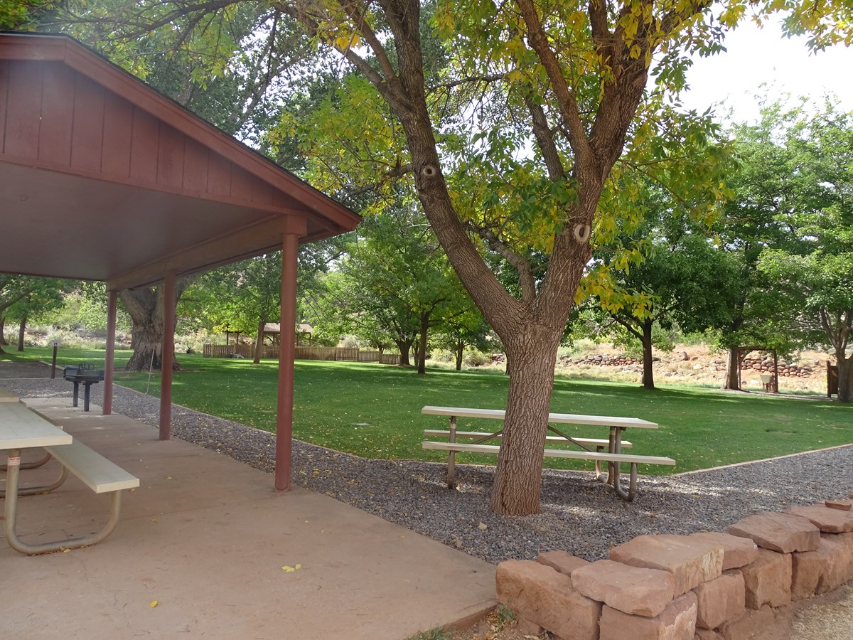Grassy lawn, large trees, two picnic tables, and a gravel path.