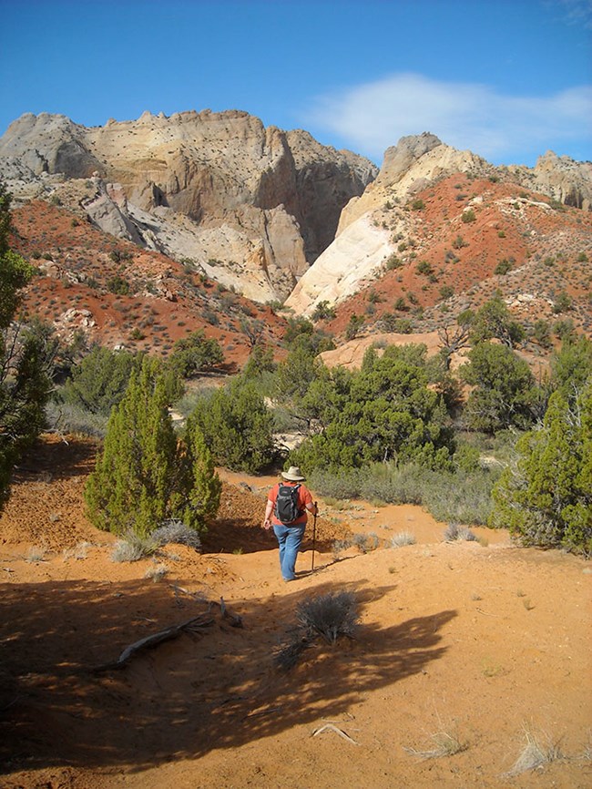 Hiker in Surprise Canyon
