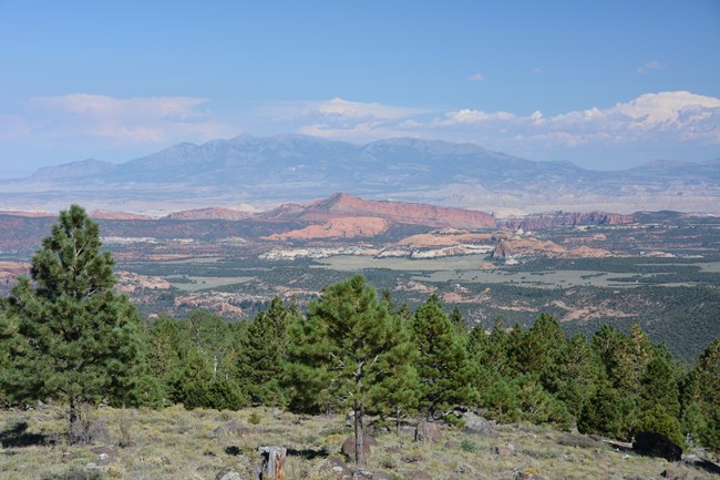 Overlook of colorful green, red, and orange landscape with tall mountains in the distance.