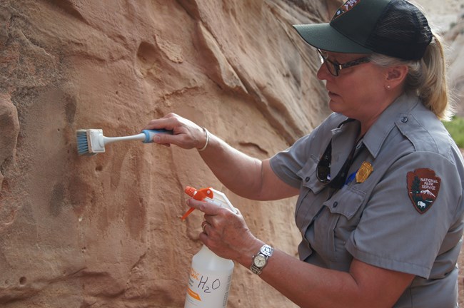 park ranger removing graffiti with water and a soft brush