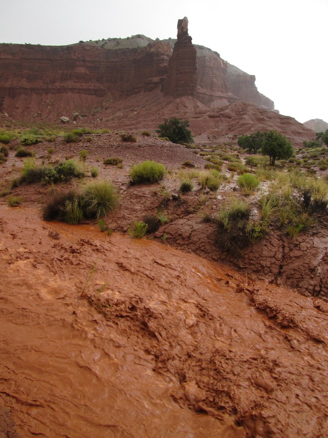 Fast-moving brown water from a storm with red rocks, green vegetation, and gray sky.
