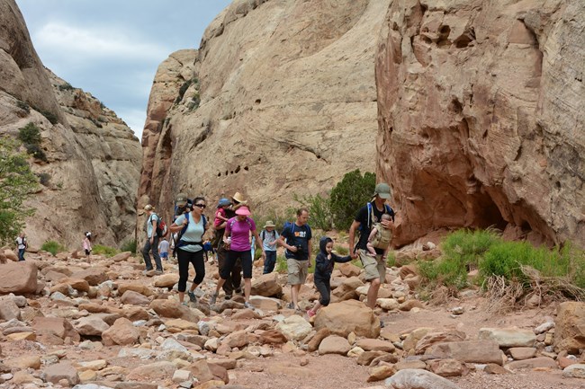 Group of adults, children, and babies in backpacks hiking in a rocky bottomed canyon, with some green shrubs and blue sky.