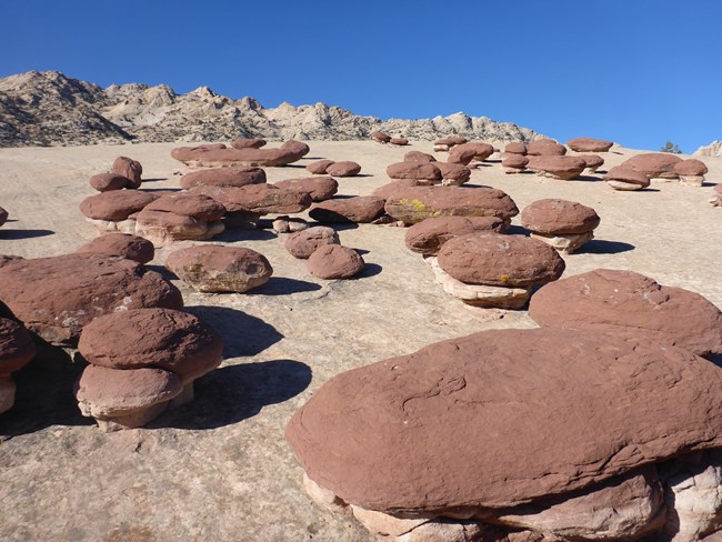 Many short, round, red rocks with a hamburger or mushroom shape, sitting on tan sandstone with blue sky above.