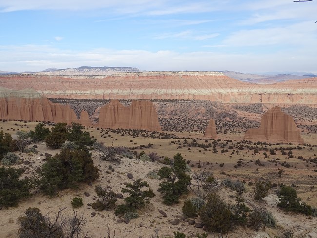Long line of narrow red rock monoliths in a red valley, with red, tan and green cliffs above.