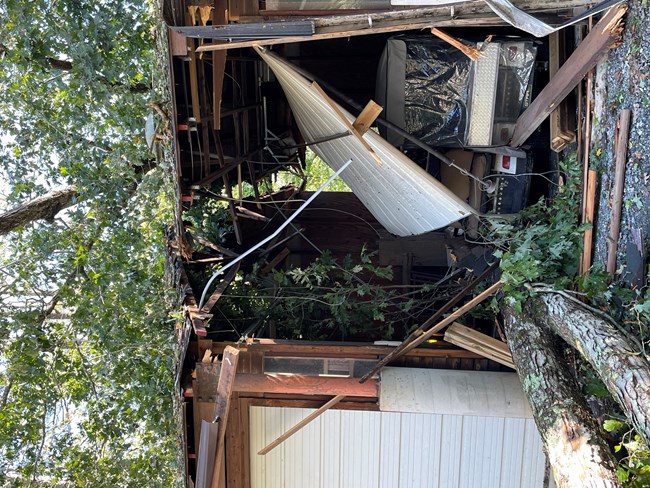 A tree through a maintenance bay.