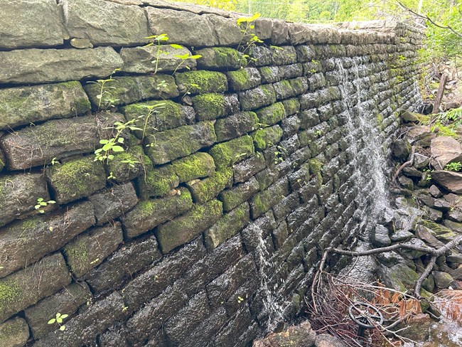 Water seeping through Side Lake Dam