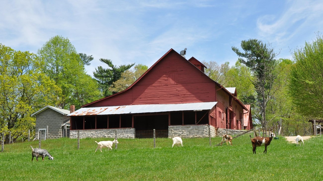 Barn - Connemara Farms - Carl Sandburg Home National Historic Site (U.S ...