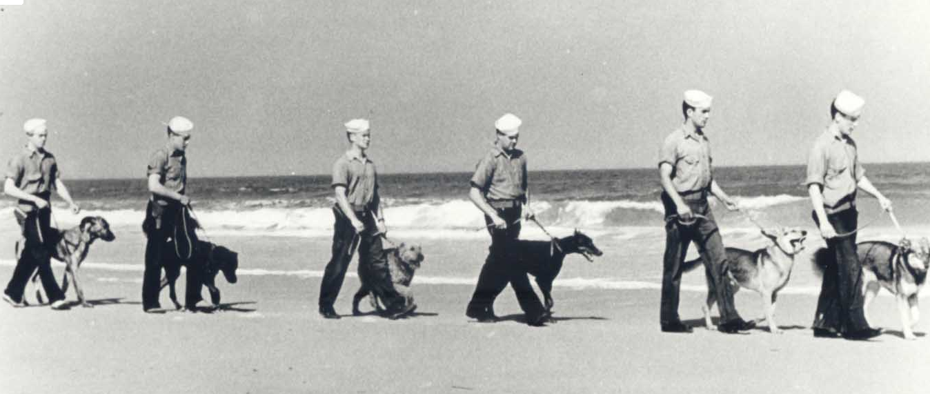 Coast Guardsmen patrol the beach with large dogs on leashes.