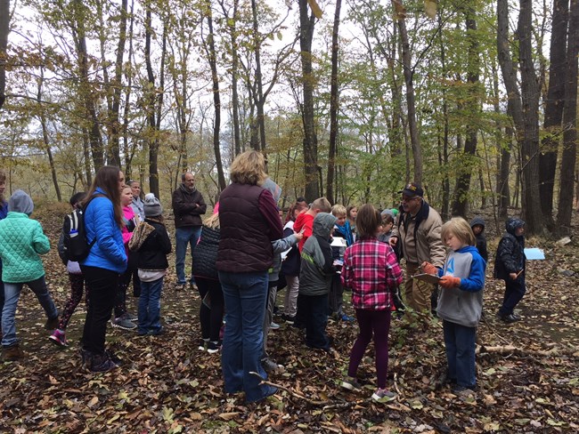 A group of students in jackets and sweaters gathers around a volunteer on a wooded path.