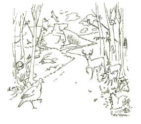 Drawing of road through the forest with animals on the path.