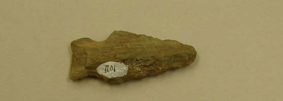 An arrowhead from the Catoctin Mountain Park museum collection.
