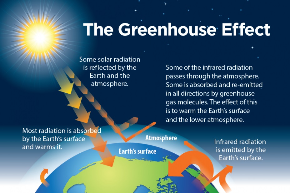 Climate Change At Catoctin Mountain Park - Catoctin Mountain Park (U.S ...