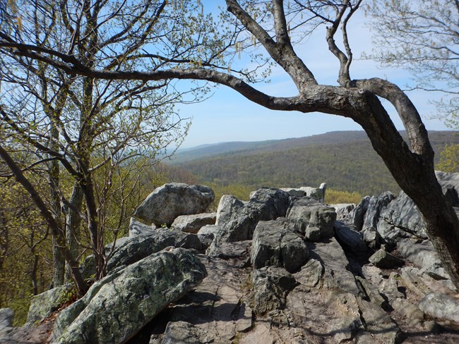 Chimney Rock boulder area and viewshed