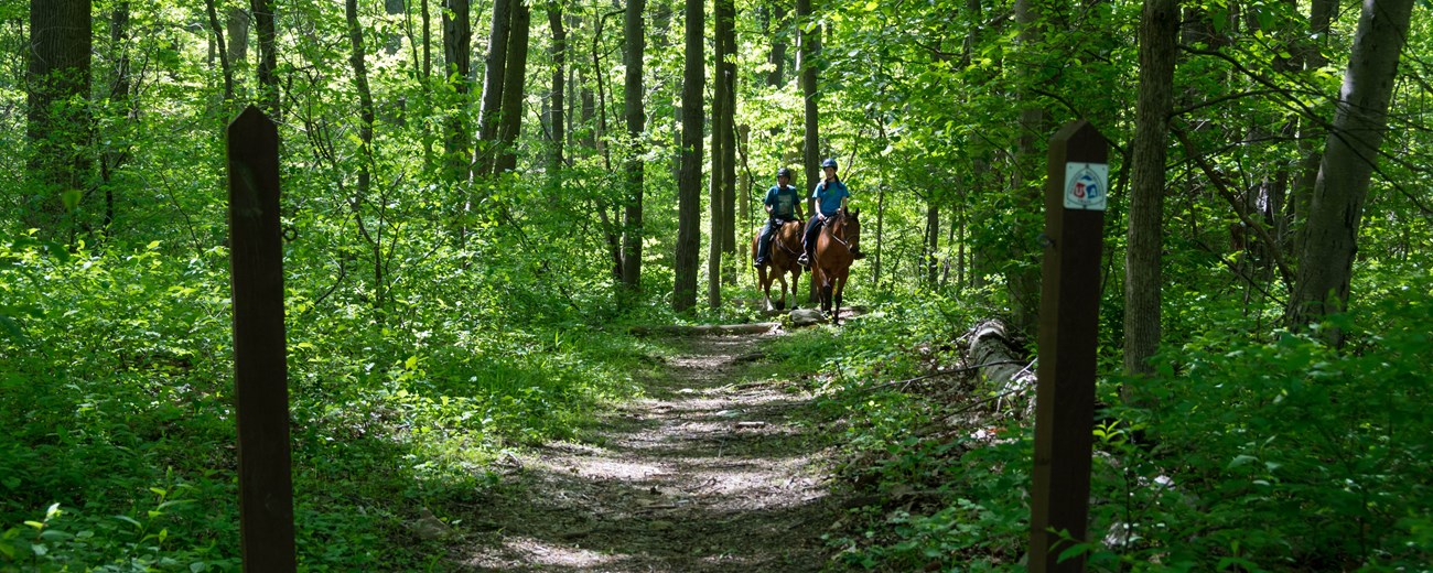 Horse Trail sign with trail extending into wooded area. The horseback riders on trail at a distance