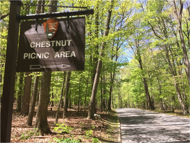 Chestnut Picnic Grove Road Sign
