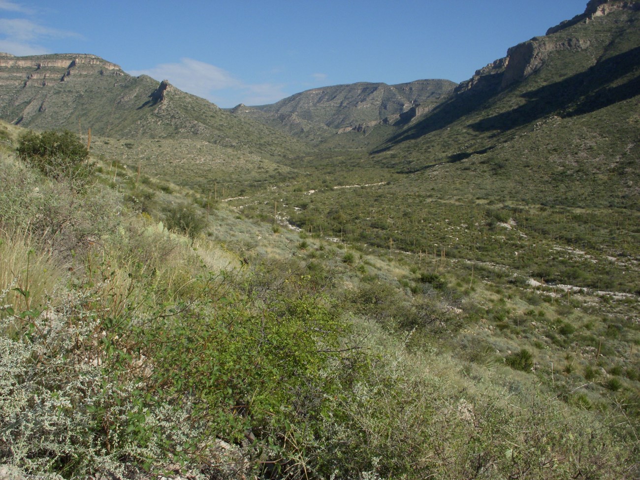 View from the Slaughter Canyon trailhead