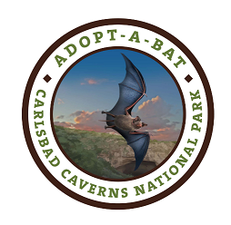 Adopt-A-Bat logo showcasing the Brazilian free-tailed bat emerging from the cavern.