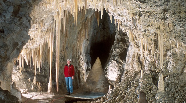 Visitor standing by the Texas Toothpick formation in Lower Cave.