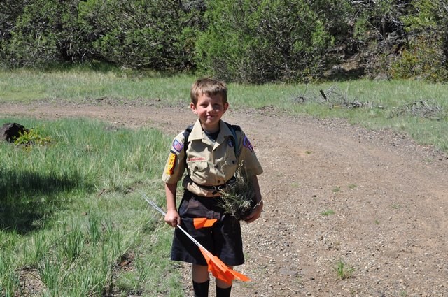 A Scout poses for the camera.  He holds an orange marking flag in his left hand and a clump of grass in his right.