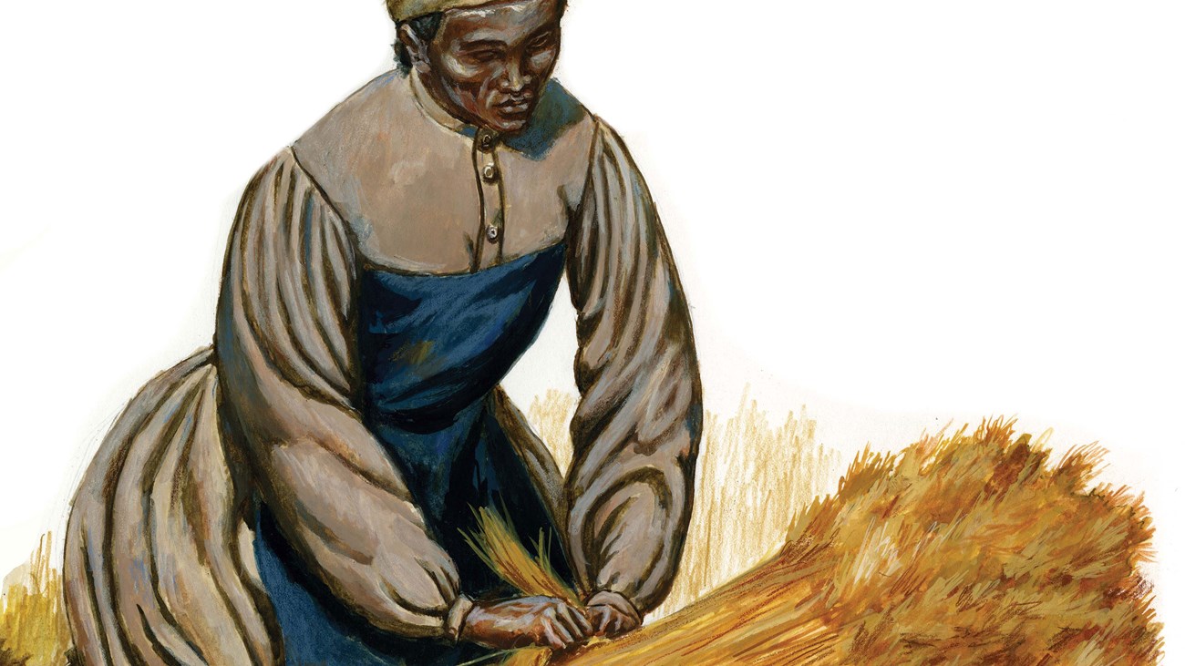 A color illustration depicts an 1800s woman in simple work clothes tying a sheaf of wheat.