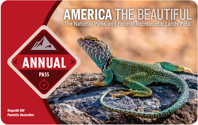 America the Beautiful Annual Pass displaying a multicolored lizard perched on a rock.