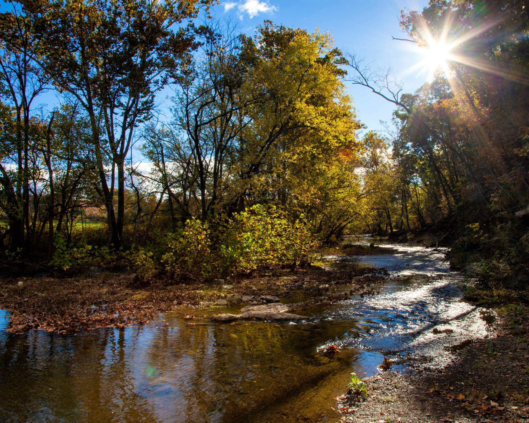 Cedar Creek with sunlight shining through the trees.