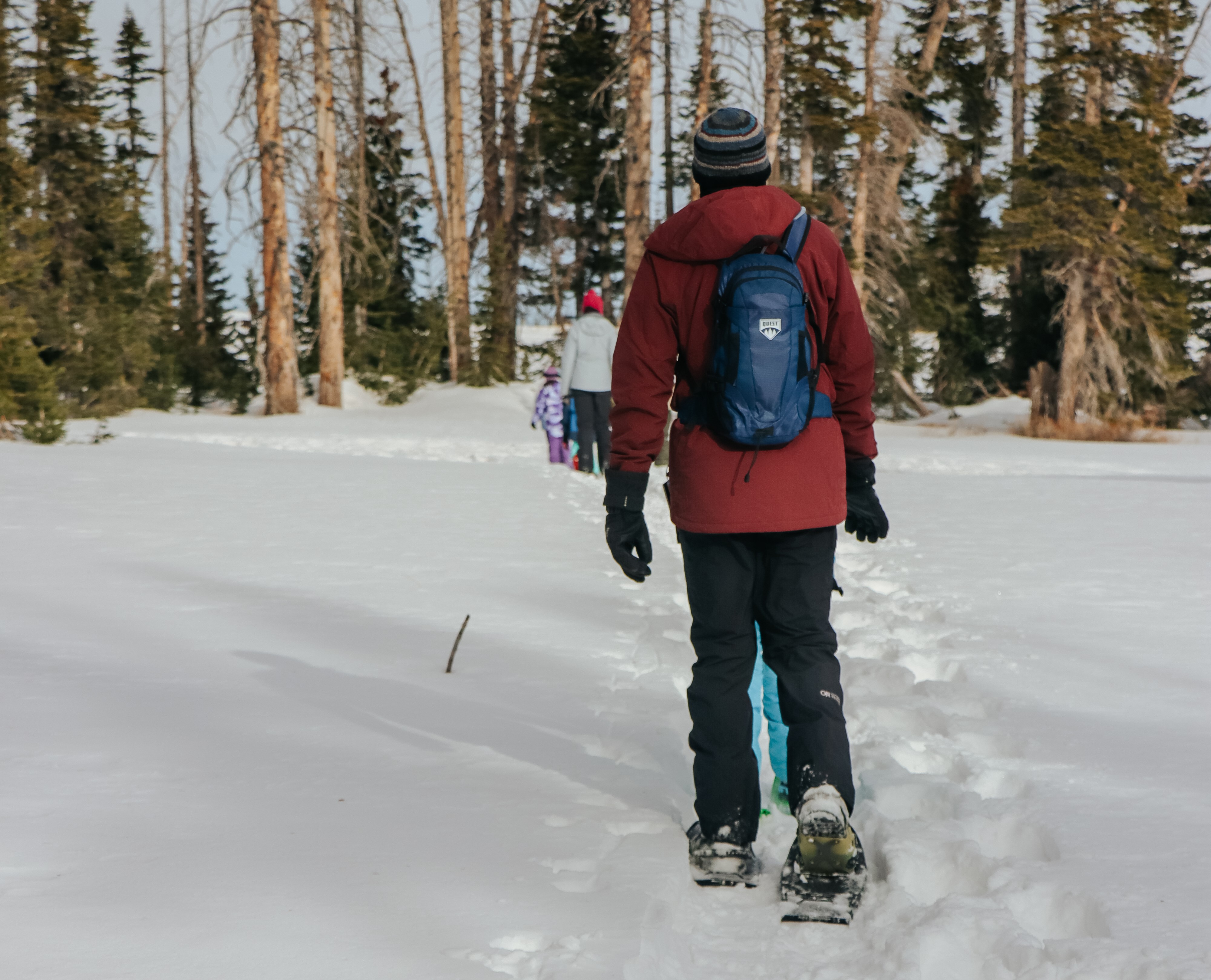 A snowshoer hikes towards the forest.