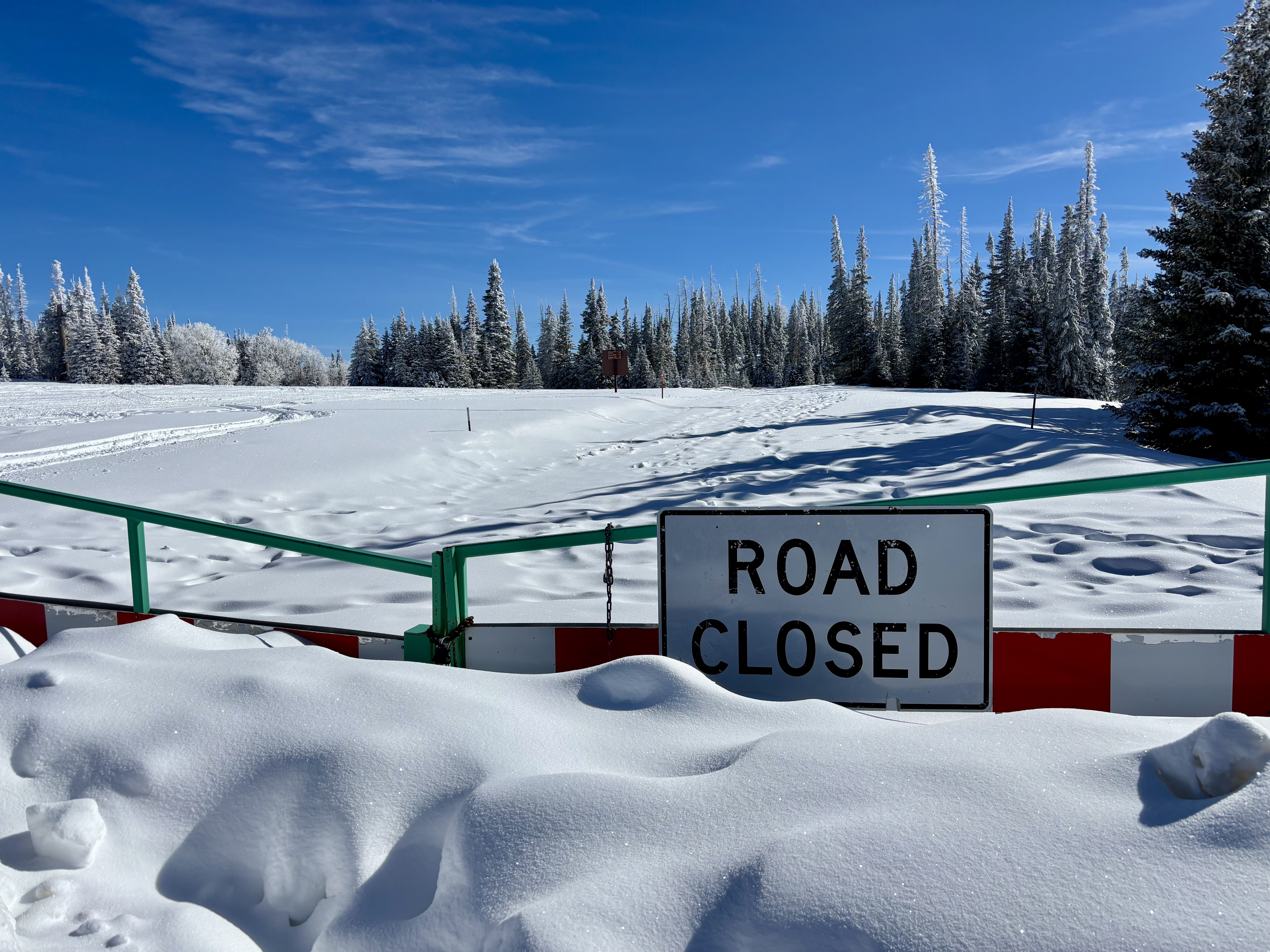A "Road Closed" sign peaks out over a fresh blanket of snow under a blue sky.