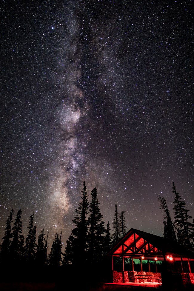 A star-filled night sky with the Milky Way above silhouetted conifer trees and a small pavilion illuminated in red light.