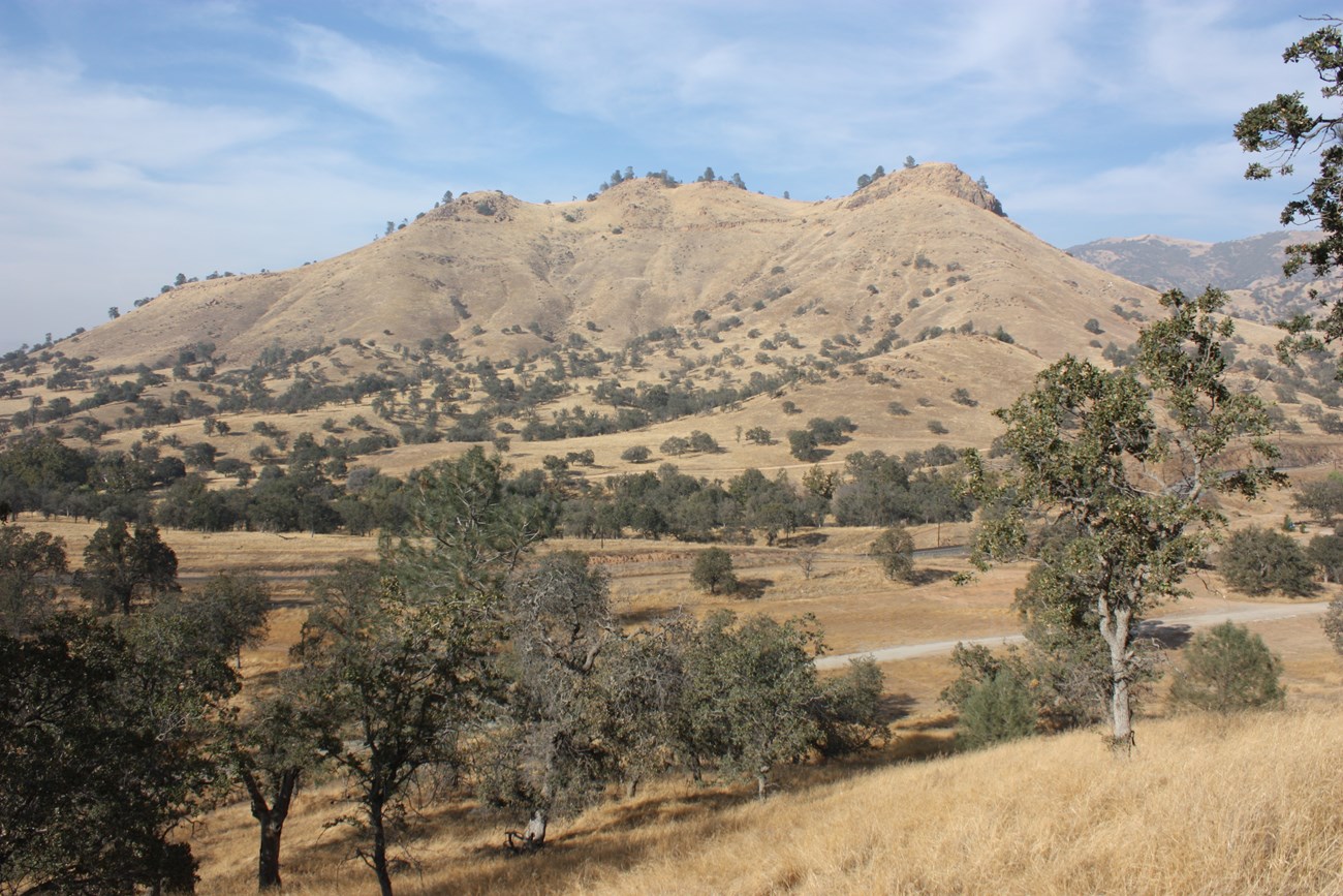 Oak woodlands and view of distant mountains