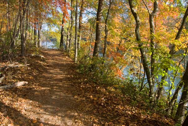 Hiking trail in the fall with the Chattahoochee River visible through the colorful leaves to the right of the trail.