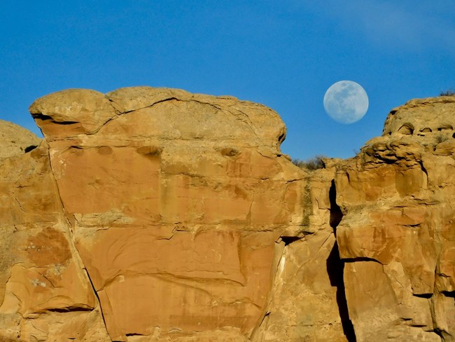 A full moon rising over the canyon wall.