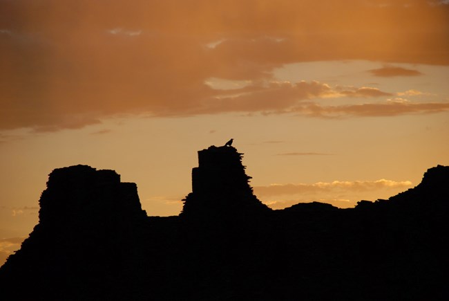 The silhouette of a raven perched atop remnants of a sandstone wall. The sky is orange behind.