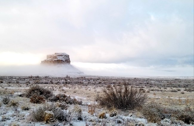 Snow covers desert plants with low clouds and fog on the horizon; a tall butte covered in snow peeks out above the fog in the distance.