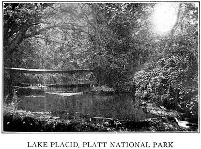 Historic view of the Lake Placid area on Travertine Creek
