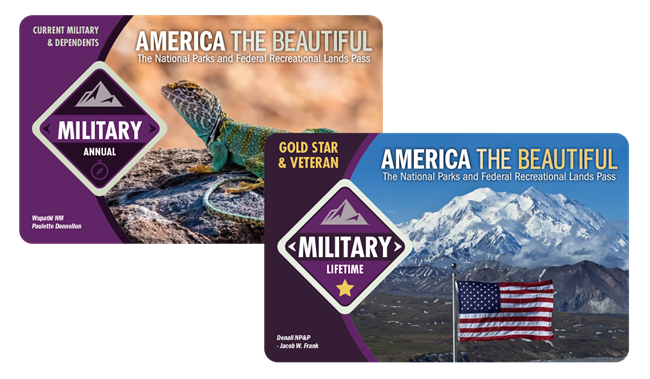 two square purple cards with text on front