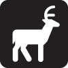 Icon of a deer