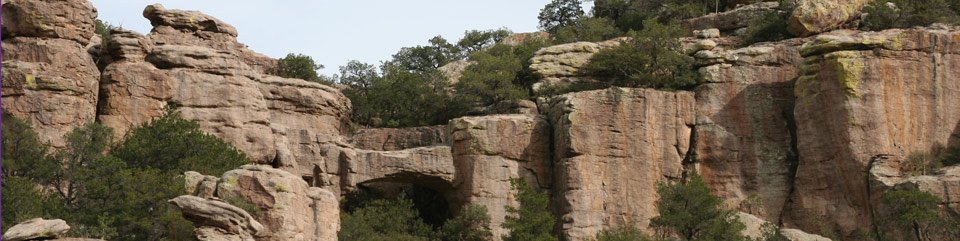 Natural rock bridge between rock cliffs with trees