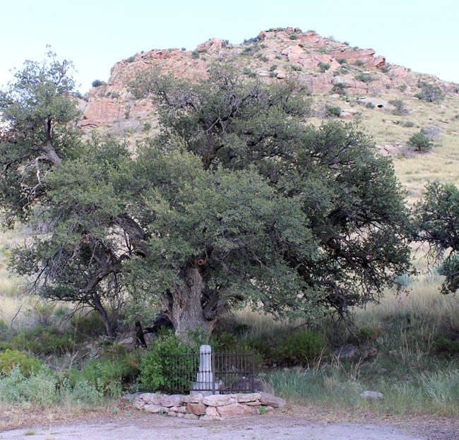 Tall narrow gravestone behind wrought-iron fence with a large oak tree towering above it, and a red rocky hillside in the background.