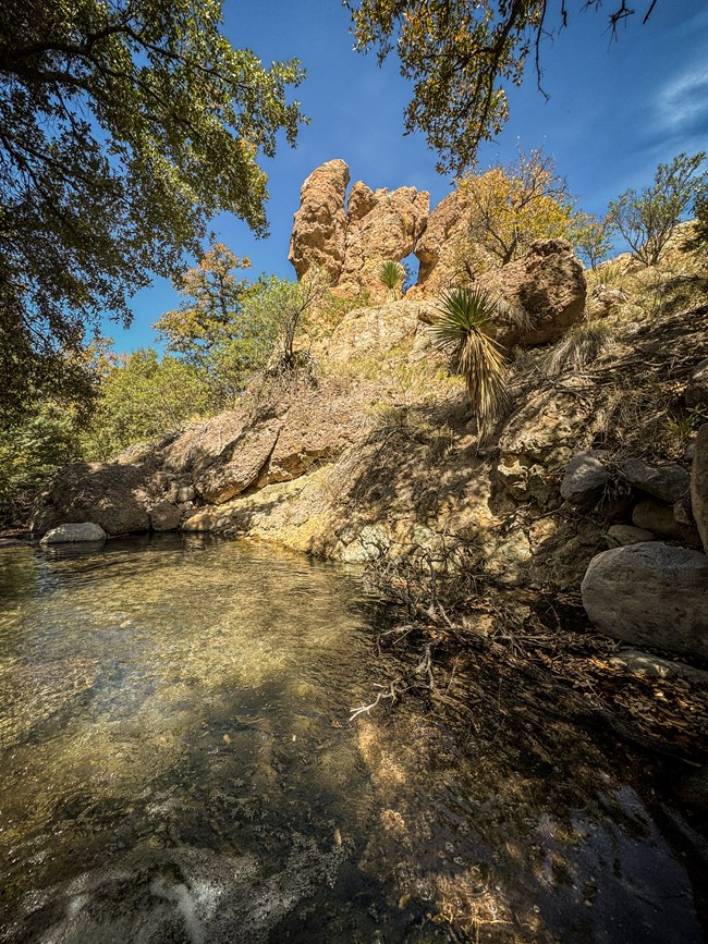 water flows beneath rhyolite rocks with trees