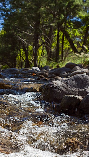 A stream, rocks, and trees