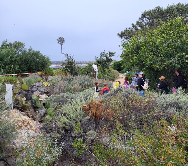 A group of young students are guided by four adults through a garden.