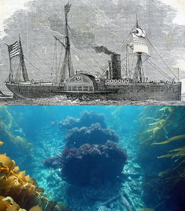 Drawing of paddle wheel steamer and photo of shipwreck.