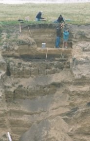 Archeologists excavate Arlington Springs on Santa Rosa Island
