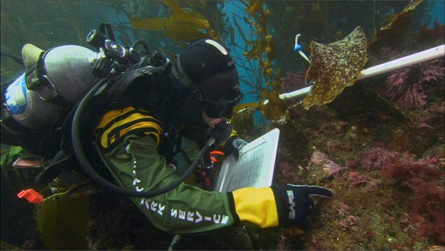 National Park Service diver recording data underwater