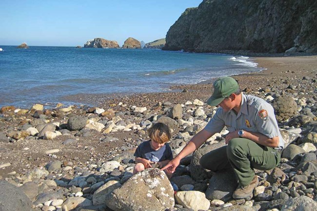 young boy with ranger on rocky beach looking at a crab.